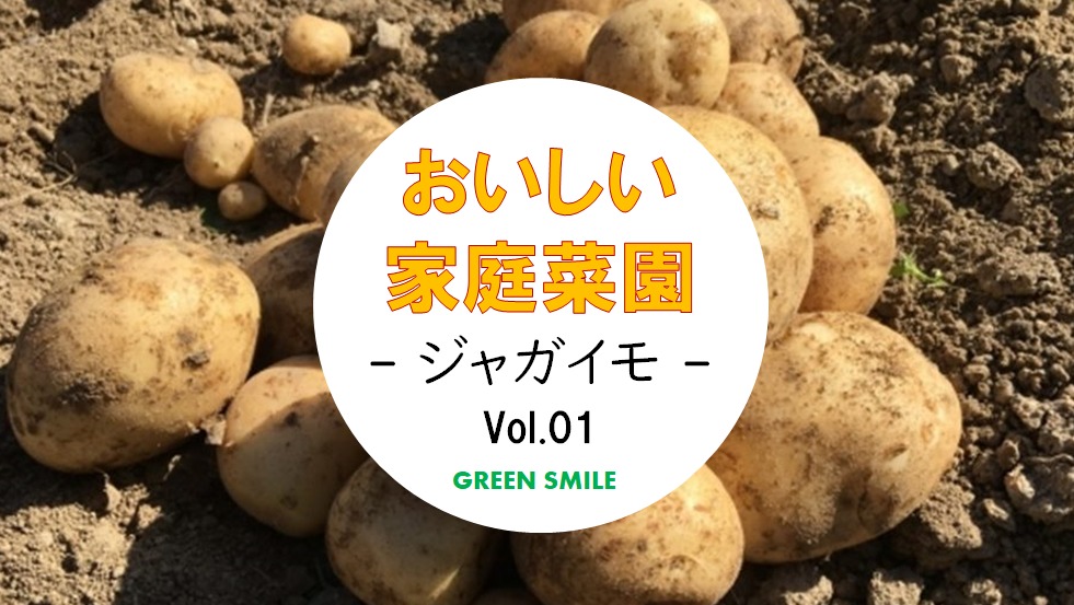 おいしい家庭菜園 Vol 1 家庭菜園の人気者 ジャガイモの種類や特徴まとめ 春ジャガ Green Smile 緑区がもっと好きになる