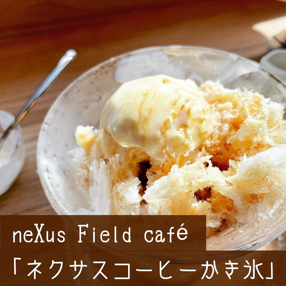 neXus Field caféの「ネクサスコーヒーかき氷」