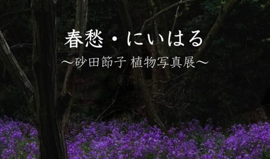 2024年4月27日～5月22日：砂田節子植物写真展「春愁・にいはる」開催！（にいはる里山交流センター）