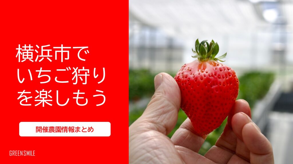 【2025年】横浜市でいちご狩りを楽しもう！農園情報まとめ！！