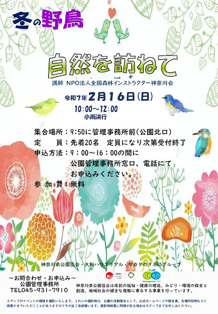 県立四季の森公園「自然を訪ねて「冬の野鳥」」