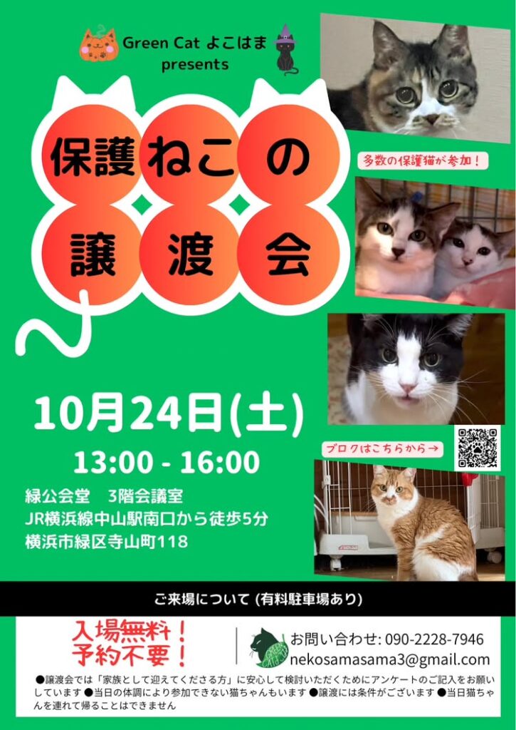 Green Cat よこはま「保護ねこの譲渡会」